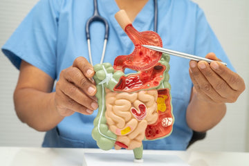 Image showing how Mounjaro interacts with the digestive system